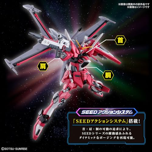 HG 1/144 "Mobile Suit Gundam SEED Freedom" Infinite Justice Gundam Type II