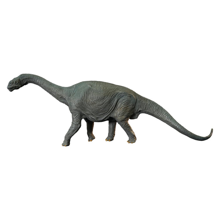 NANKOKU FACTORY Camarasaurus Middle Soft Vinyl Kit Reprint Edition