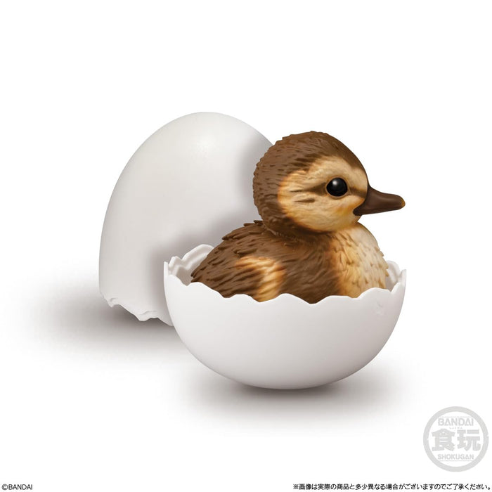 Tenori Baby Friends -Birds-