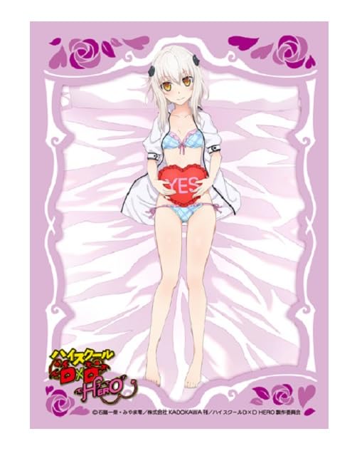 Chara Sleeve Collection Matt Series "High School DxD Hero" Toujou Koneko No. MT1873