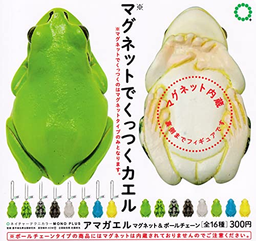 Frog Ball Chain Nature Techni Colour MONO PLUS Japanese Frog Magnet & Ball Chain — Ninoma