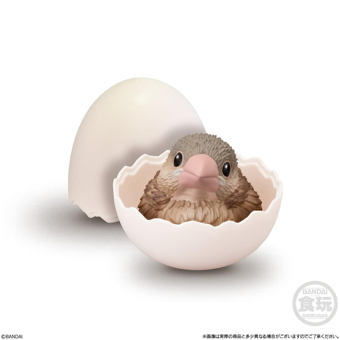 Tenori Baby Friends -Birds-