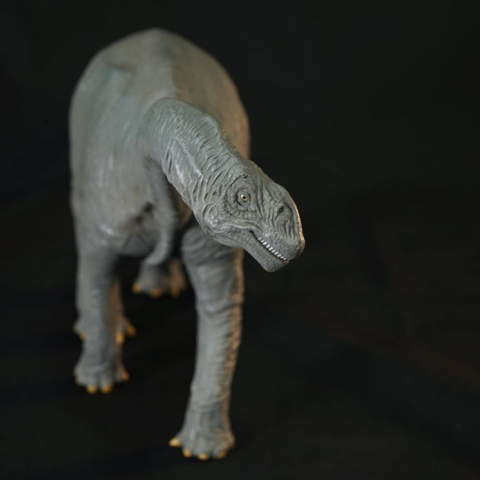 NANKOKU FACTORY Camarasaurus Middle Soft Vinyl Kit Reprint Edition