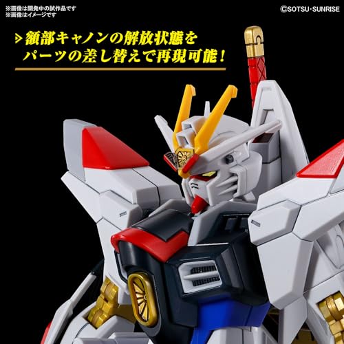 HG 1/144 "Mobile Suit Gundam SEED Freedom" Mighty Strike Freedom Gundam