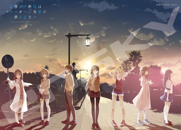 "Seishun Buta Yaro wa Bunny Girl-senpai no Yume wo Minai" Jigsaw Puzzle 500 Piece 500-573 Seishun Buta Yaro wa Bunny Girl-senpai no Yume wo Minai