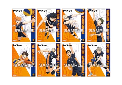 "Haikyu!!" Clear Card Collection 4 Decisive Battle at the Garbage Dump