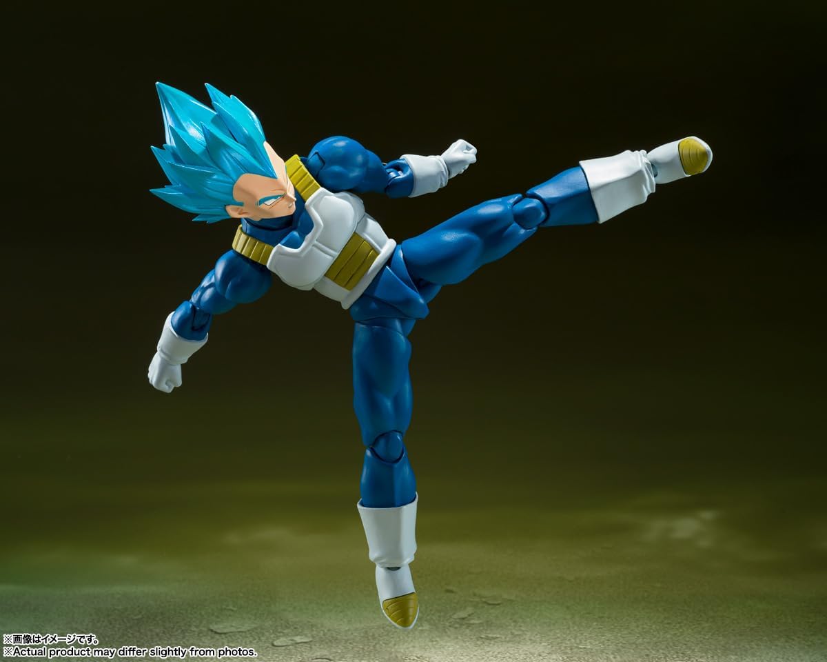 S.H.Figuarts 