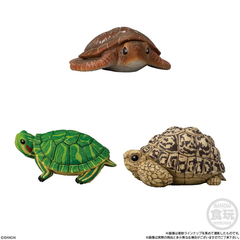 Tenori Friends 11 -Reptiles & Amphibians-