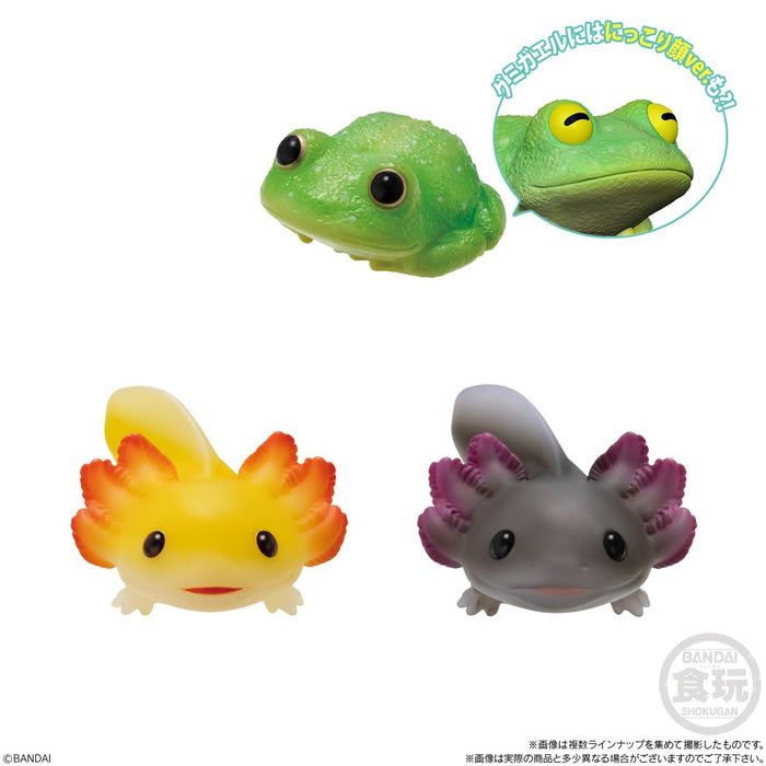 Tenori Friends 11 -Reptiles & Amphibians-