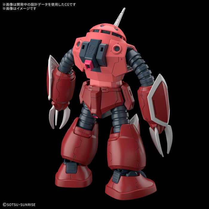 HG 1/144 "Mobile Suit Gundam SEED Freedom" Z'Gok (SEED FREEDOM Ver.)