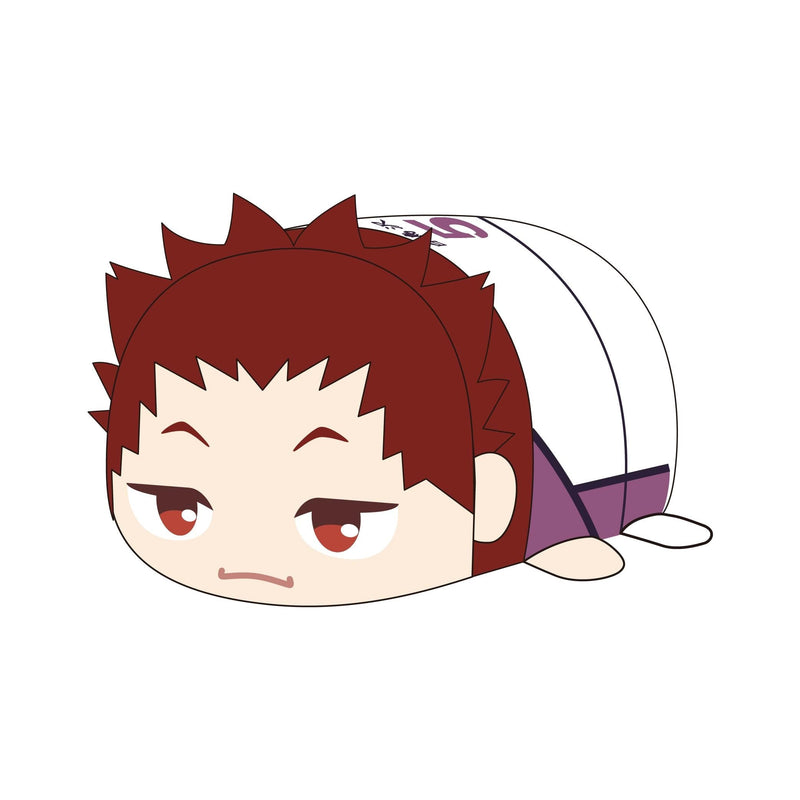 HQ-81 "Haikyu!!" Potekoro Mascot (M Size) 2 D Tendo Satori