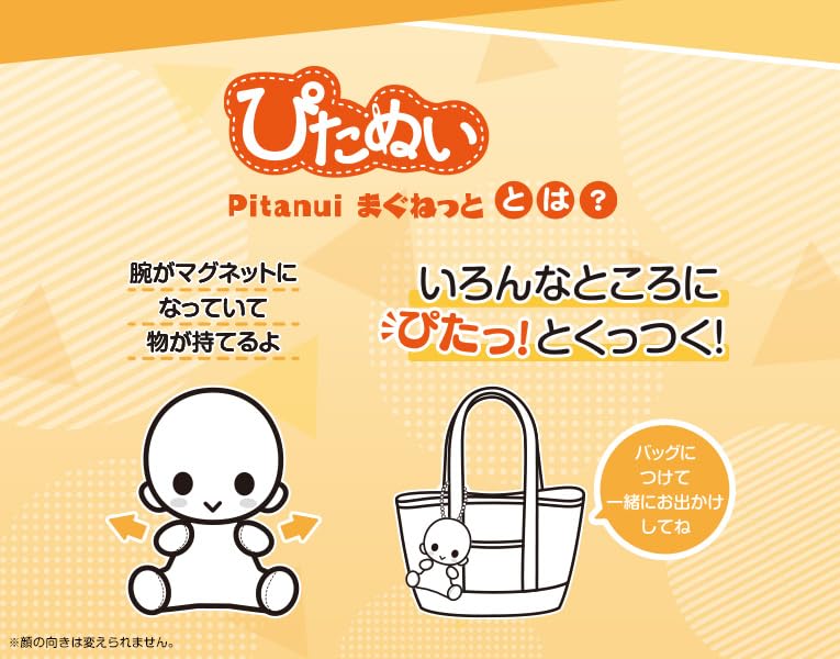 Pitanui Magnet "Haikyu!!" Kita Shinsuke