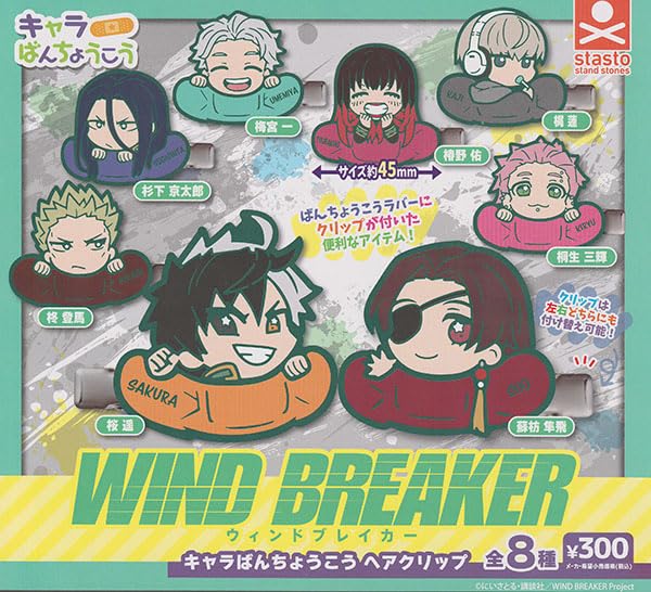"Wind Breaker" Chara Bandage Hair Clip
