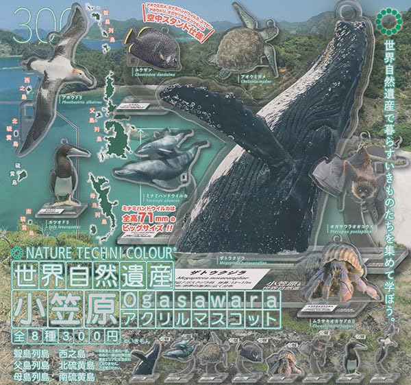 Nature Techni Colour World Natural Heritage Ogasawara Acrylic Mascot