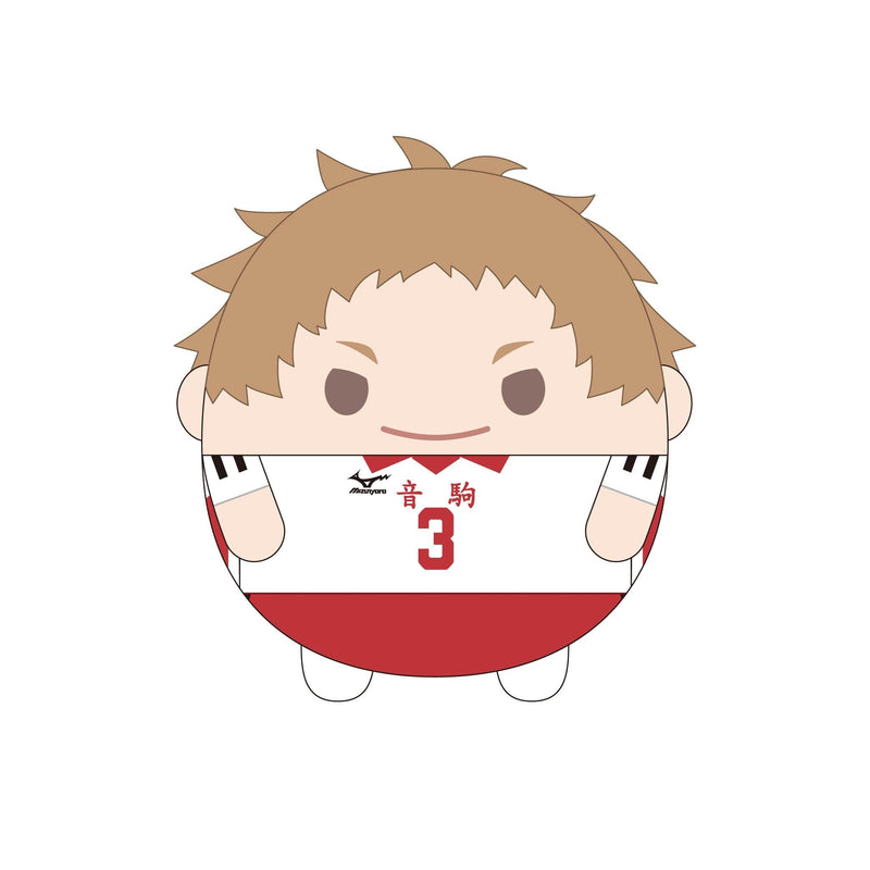 HQ-45 "Haikyu!!" Fuwakororin (M Size) 8 C Yaku Morisuke