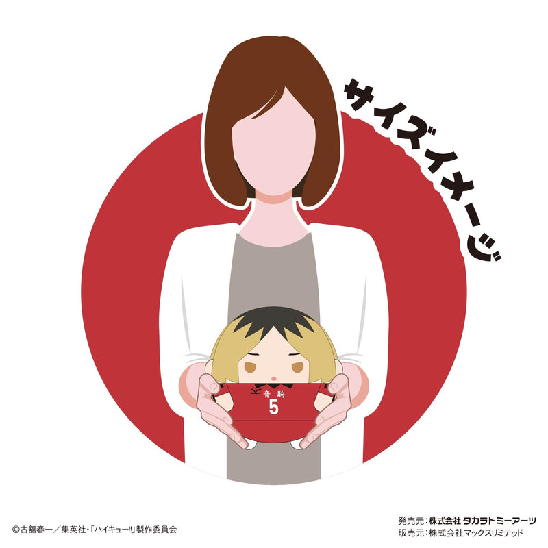 HQ-45 "Haikyu!!" Fuwakororin (M Size) 8 C Yaku Morisuke