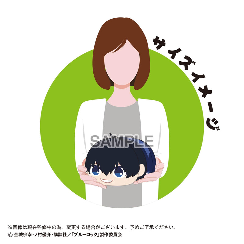 BL-43 "Blue Lock" Potekoro Mascot (M Size) 4 E Karasu Tabito