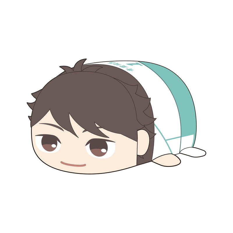 HQ-74 "Haikyu!!" Potekoro Mascot (M Size) D Oikawa Toru