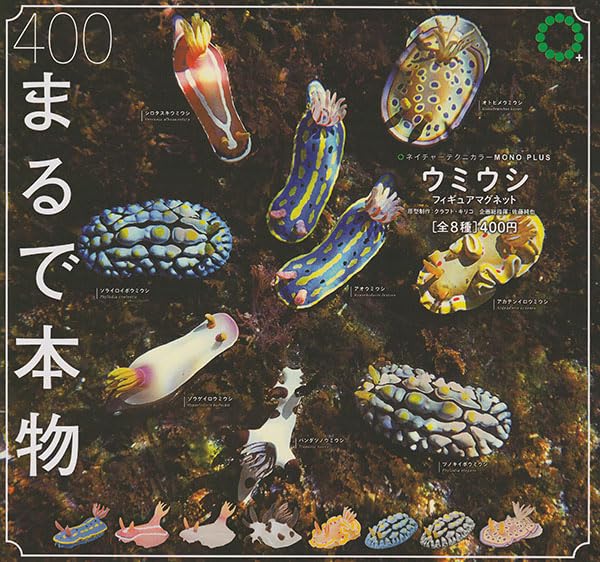 Nature Techni Colour MONO PLUS Sea Slug Figure Magnet