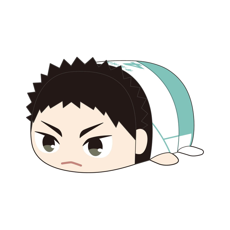 HQ-75 "Haikyu!!" Potekoro Mascot Big E Iwaizumi Hajime