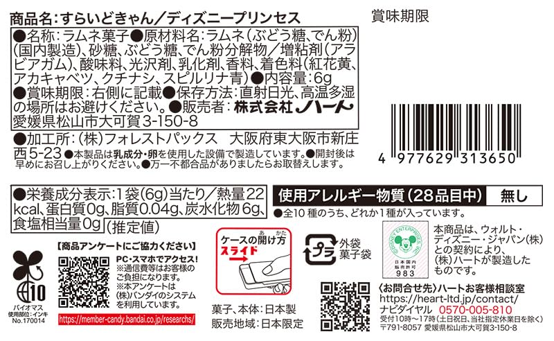 Slide Can Disney Princess