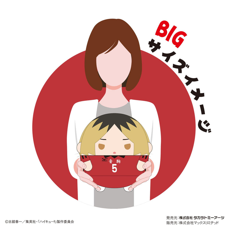 HQ-46 "Haikyu!!" Fuwakororin Big 8 B Kuroo Tetsuro