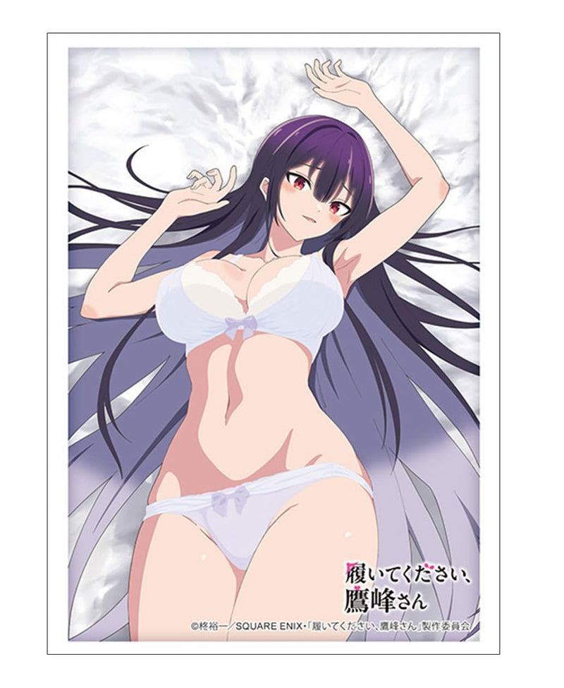 Bushiroad Sleeve Collection High-grade Vol. 4837 "Please Put Them On, Takamine-san" Takamine Takane Lingerie Ver.