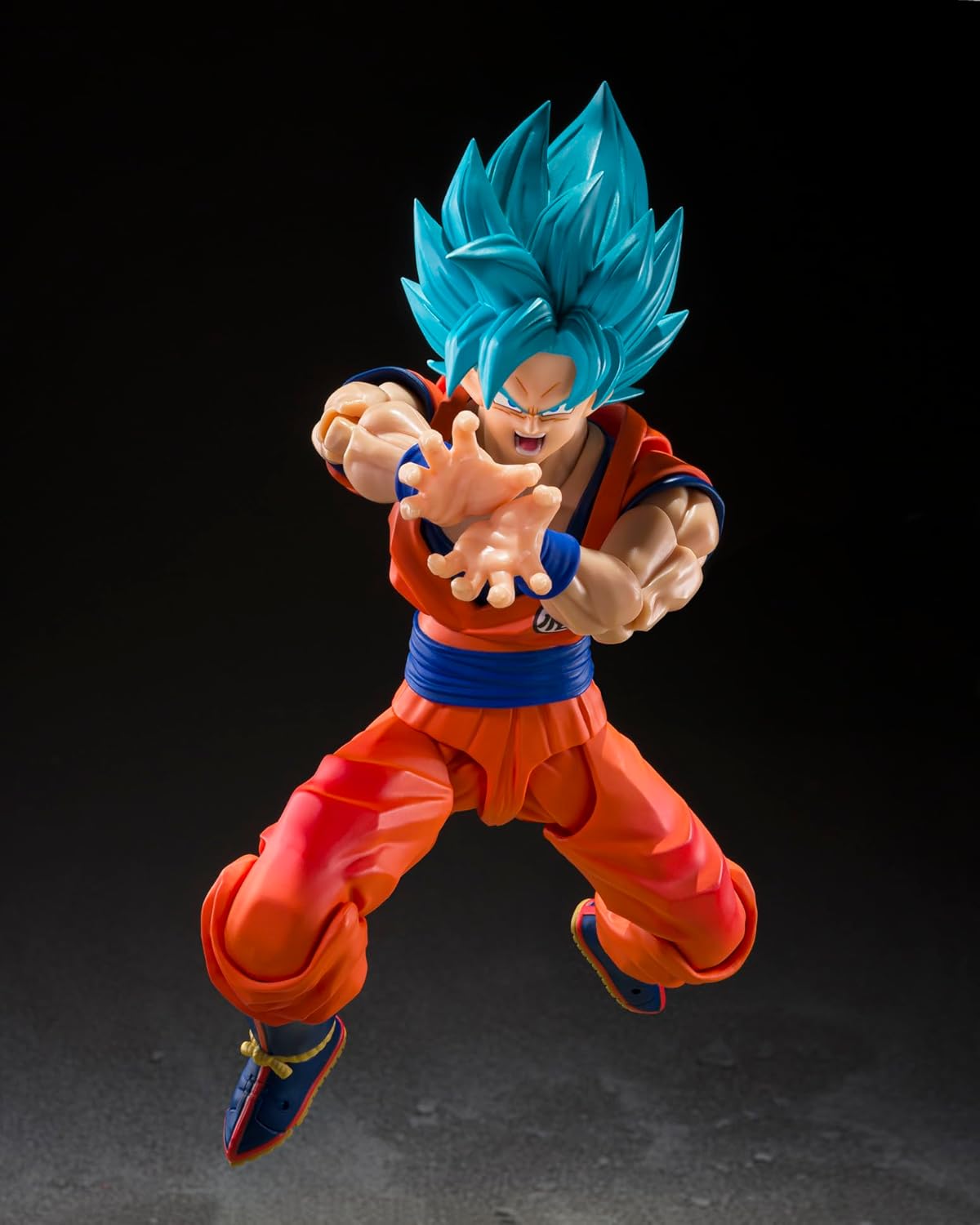 S.H.Figuarts 