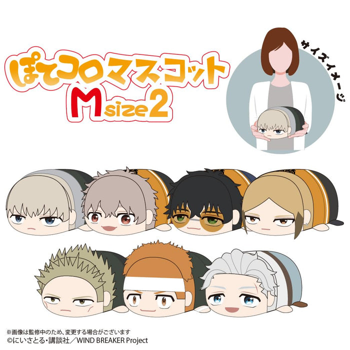 WB-13 "Wind Breaker" Potekoro Mascot (M Size) 2 D Sako Kota