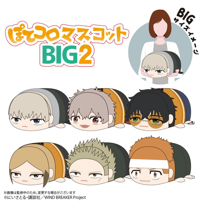 WB-14 "Wind Breaker" Potekoro Mascot Big 2 B Tomiyama Choji