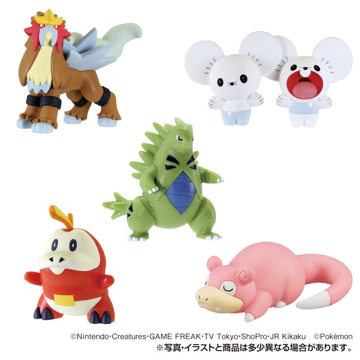 "Pokemon" Monster Collection Box Roar of The Earth