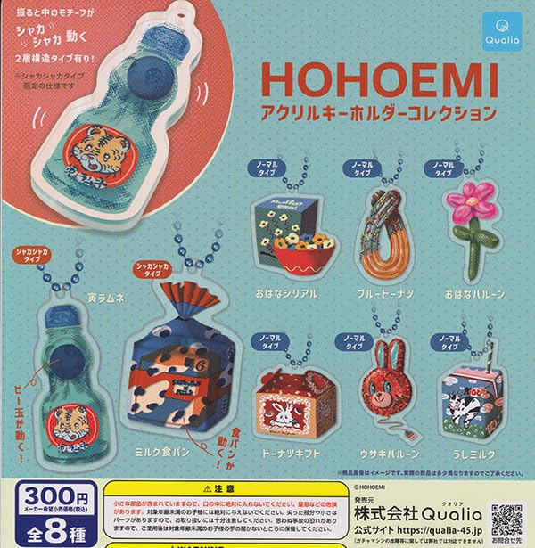 HOHOEMI Acrylic Key Chain Collection