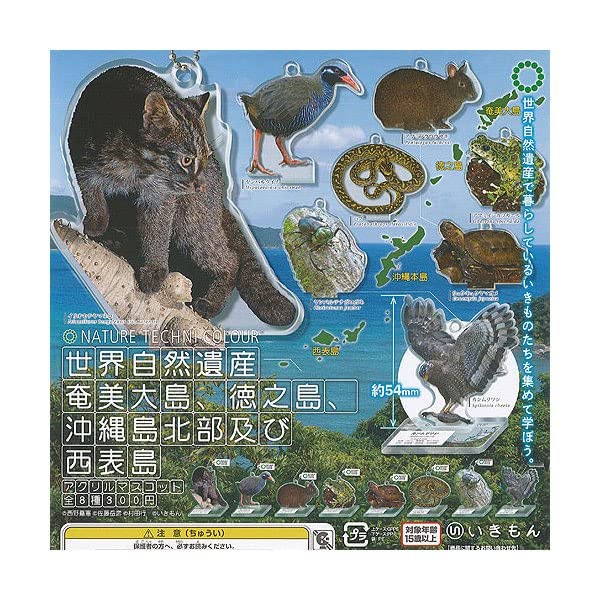 Nature Techni Colour World Natural Heritage Amami Island, Tokunoshima, Northern Okinawa & Iriomote Island Acrylic Mascot