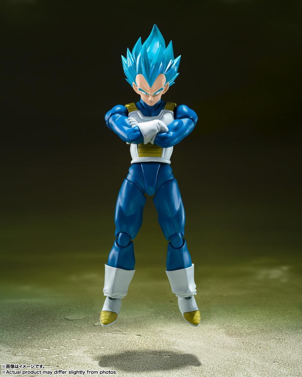 S.H.Figuarts 