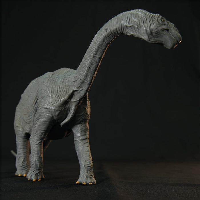 NANKOKU FACTORY Camarasaurus Middle Soft Vinyl Kit Reprint Edition