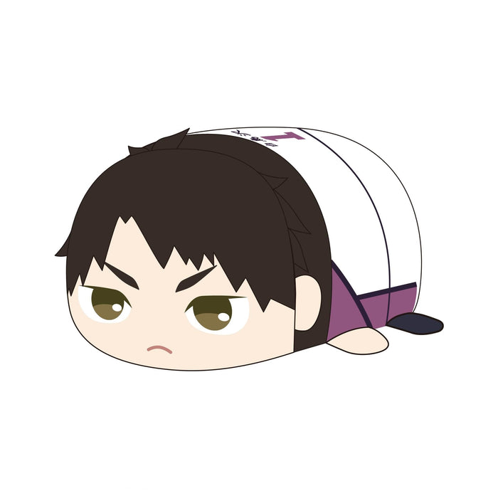 HQ-81 "Haikyu!!" Potekoro Mascot (M Size) 2 C Ushijima Wakatoshi