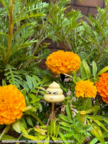 Pripra Poop Club Vol. 1