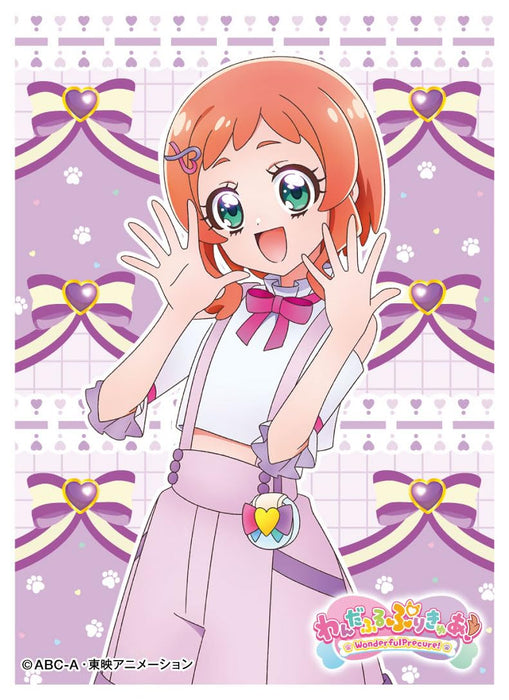 Character Sleeve "Wonderful PreCure!" Inukai Iroha EN-1404