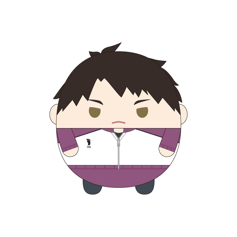 HQ-71 "Haikyu!!" Fuwakororin (M Size) 9 H Ushijima Wakatoshi Jersey Ver.