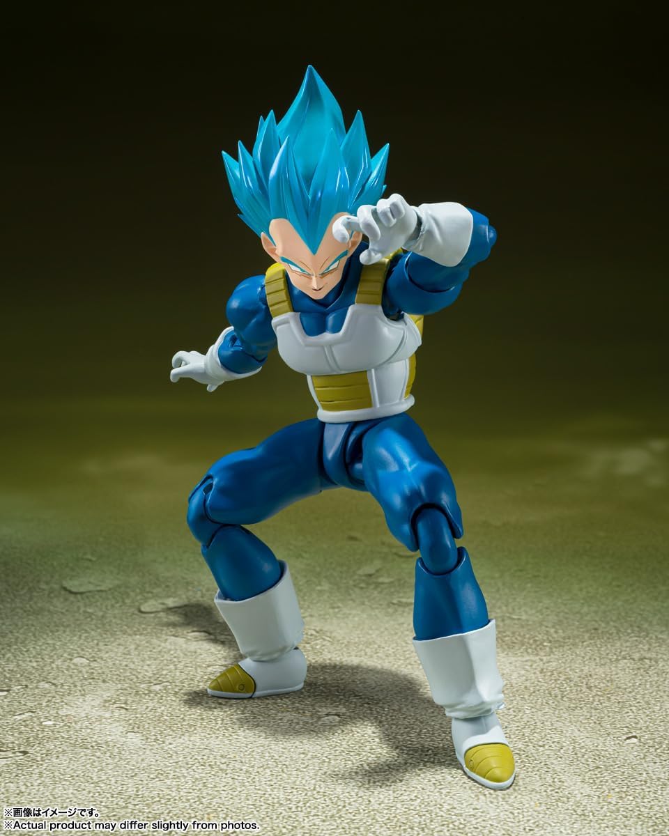 S.H.Figuarts 