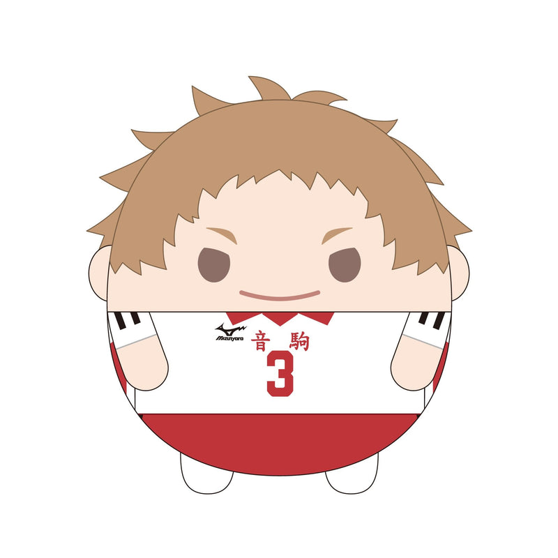 HQ-46 "Haikyu!!" Fuwakororin Big 8 C Yaku Morisuke