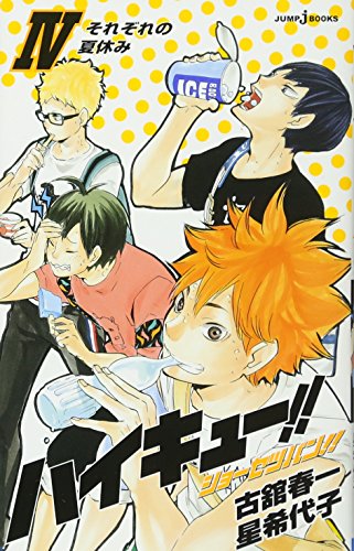 "Haikyu!!" Novel Ver. Vol. 4 Cover: Hoshiumi (Book)
