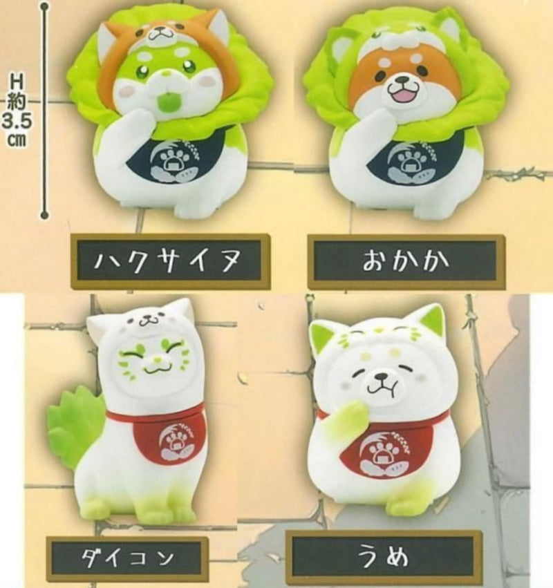 Oyasai Yousei-san x "Chuken Mochishiba" Figure