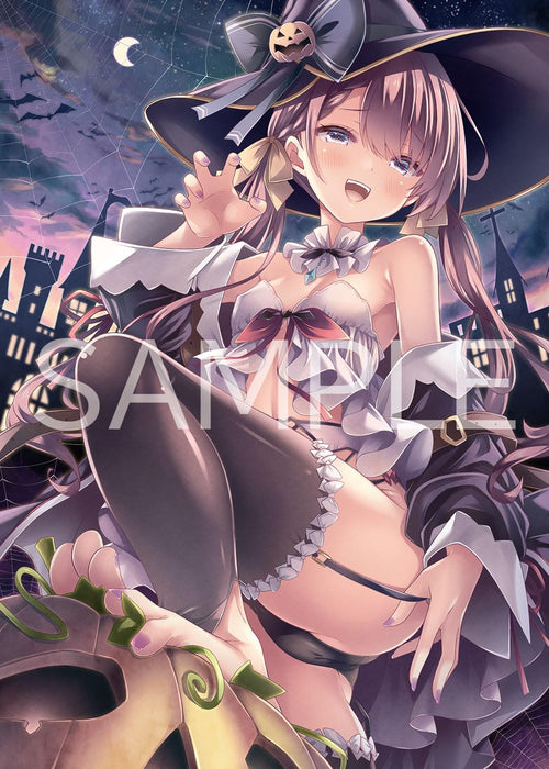 Art Book Costte! Moe Girl -Honjitsu no Osasoifuku- (Book)