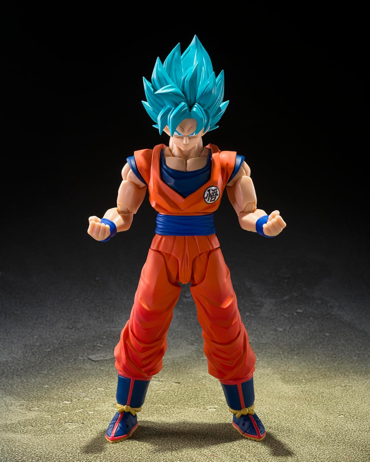 S.H.Figuarts 