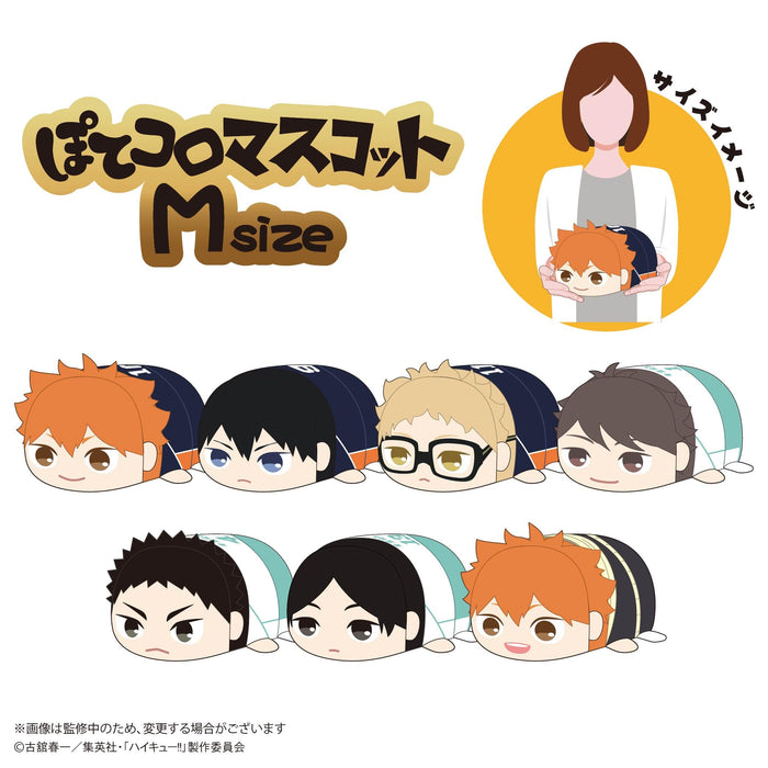 HQ-74 "Haikyu!!" Potekoro Mascot (M Size) C Tsukishima Kei