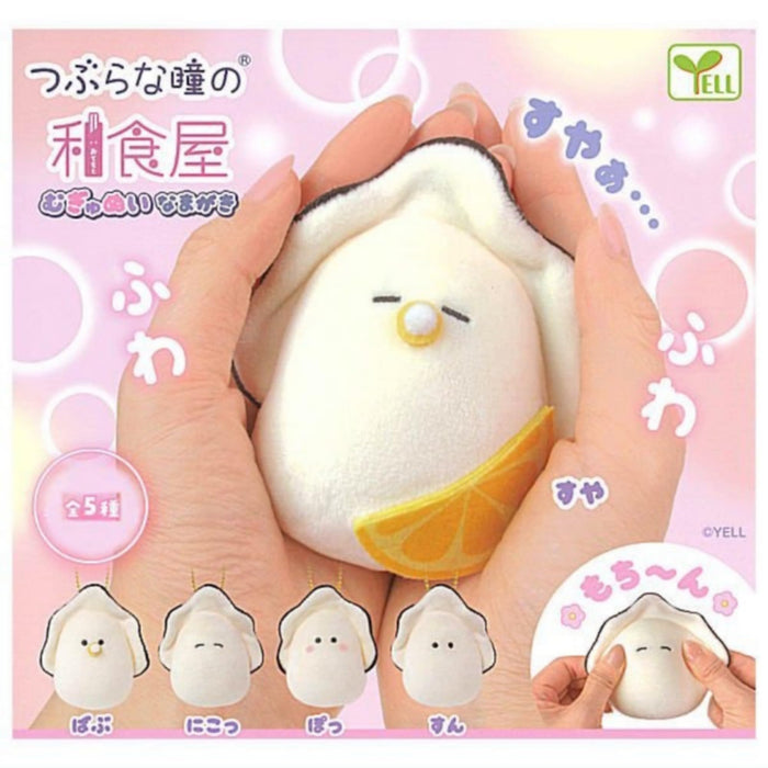 Mugyu Nui Raw Oyster -Beady Eyes Washokuya-