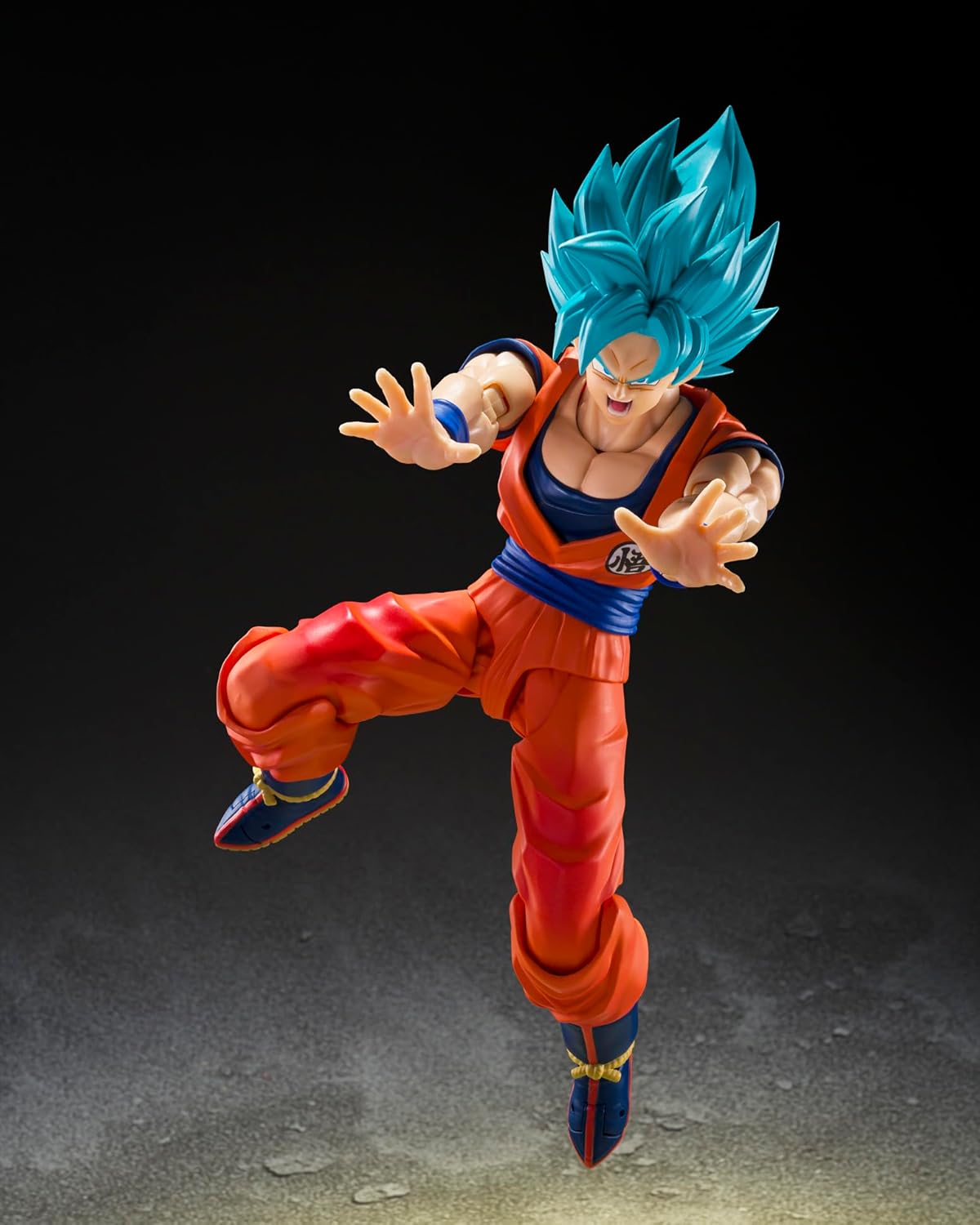 S.H.Figuarts 