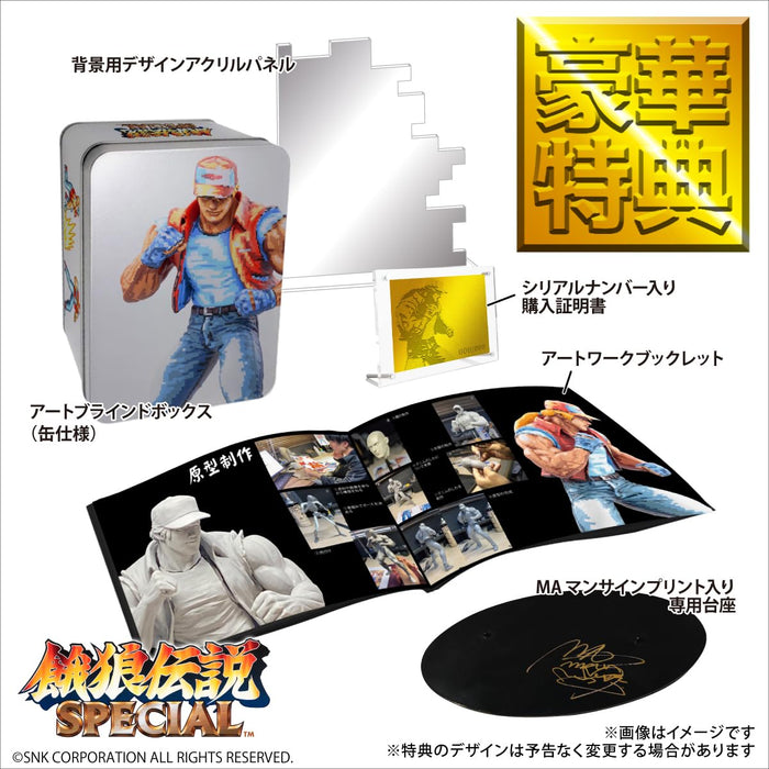 THE KING OF COLLECTORS'24 SPECIAL "Fatal Fury Special" Terry Bogard (Pixel Art Painting Color)