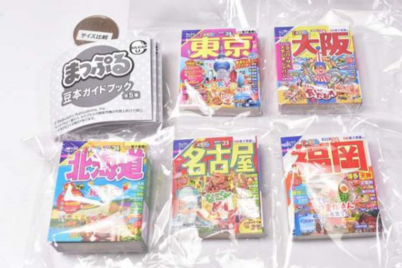MAPPLE Miniature Guide Book